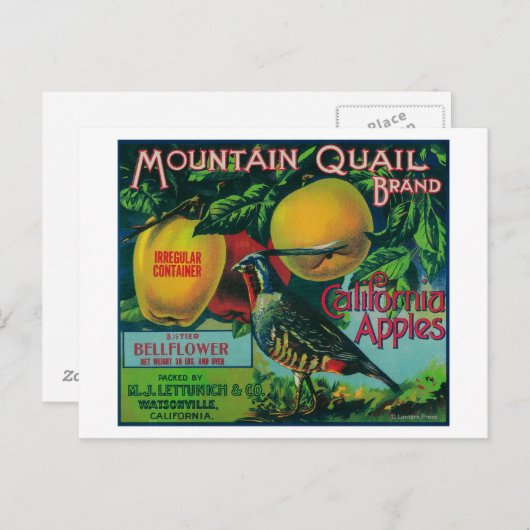 Apple-label gebergte briefkaart (Voorkant / Achterkant)