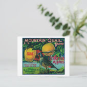 Apple-label gebergte briefkaart (Staand voorkant)