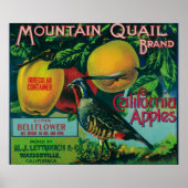 Apple-label gebergte poster (Voorkant)
