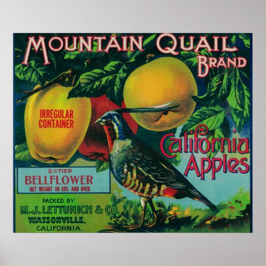 Apple-label gebergte poster (Voorkant)