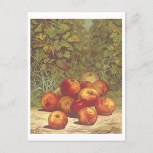  Apple Lithograph Briefkaart
