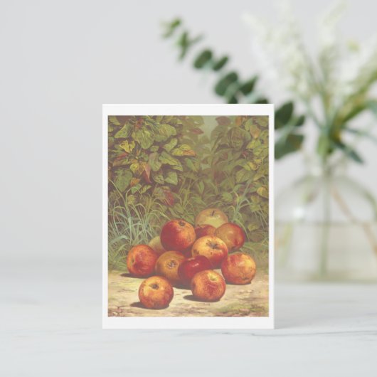  Apple Lithograph Briefkaart (Staand voorkant)