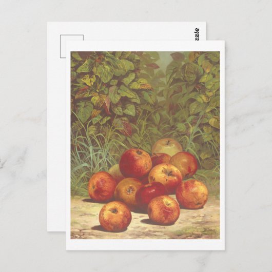  Apple Lithograph Briefkaart (Voorkant / Achterkant)
