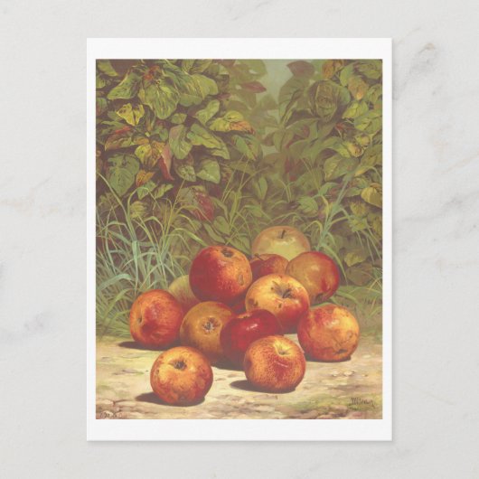  Apple Lithograph Briefkaart (Voorkant)
