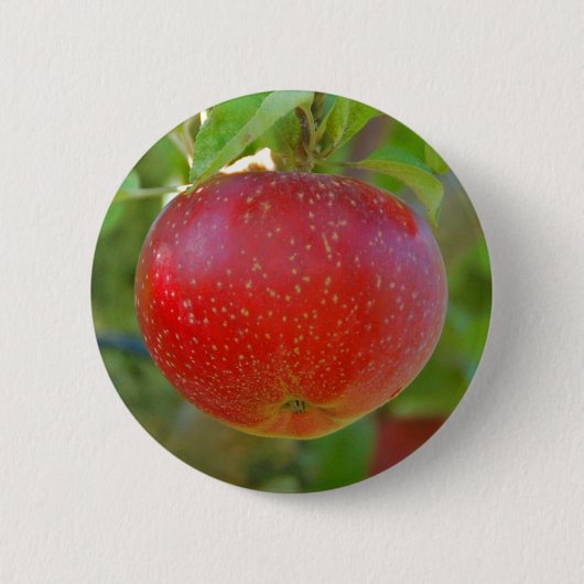 Apple Lobo Ronde Button 5,7 Cm (Voorkant)