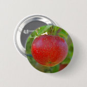 Apple Lobo Ronde Button 5,7 Cm (Voorkant /achterkant)