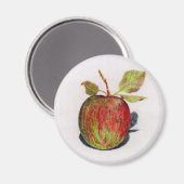 Apple Magneet (Voorkant / Achterkant)