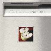 Apple Magneet (Insitu (Vaatwasser))
