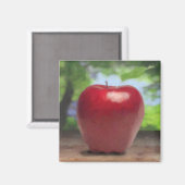 Apple Magneet (Voorkant / Achterkant)