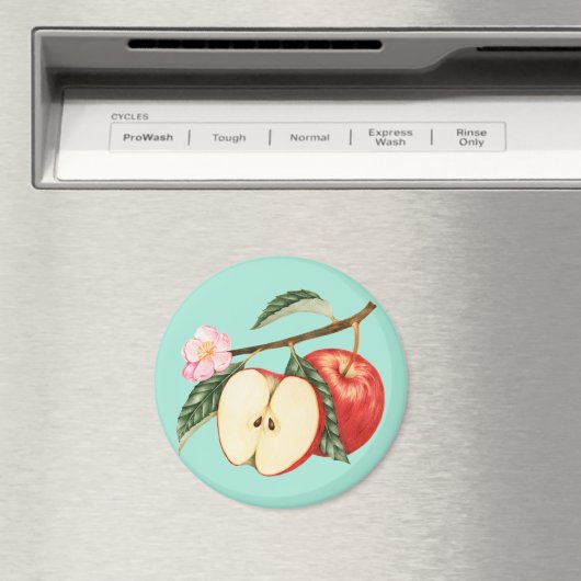 Apple Magneet (Insitu (Vaatwasser))