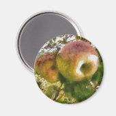Apple Magneet (Voorkant / Achterkant)