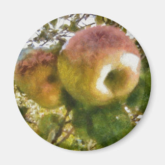 Apple Magneet