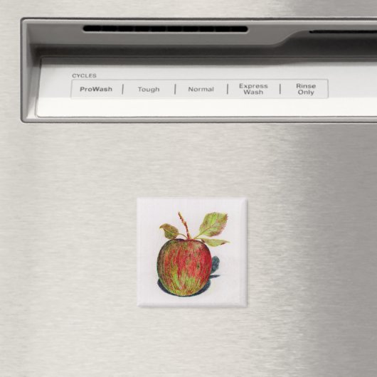 Apple Magneet (Insitu (Vaatwasser))