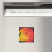 Apple Magnet (Insitu (Vaatwasser))