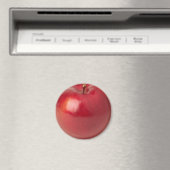 Apple Magnet (Insitu (Vaatwasser))