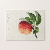 Apple (Malus Domestica) Waterverf van fruit Legpuzzel (Horizontaal)