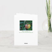 "Apple of My Eye"/ "DAT IS JIJ!" Kaart (Achterkant)