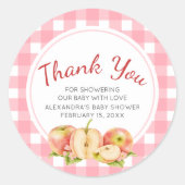 Apple of Our Eye Gingham Baby Shower Ronde Sticker (Voorkant)