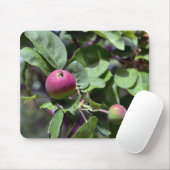 Apple op muismat (Met muis)