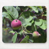 Apple op muismat (Voorkant)
