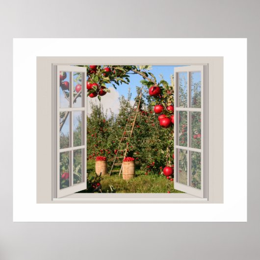 Apple Orchard bekeken door een open venster Poster (Voorkant)