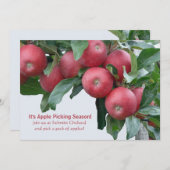 Apple Orchard Invitation Kaart (Voorkant / Achterkant)