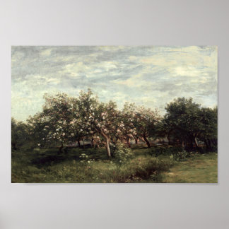 Apple Orchard Landscape Art Afdrukken land Poster