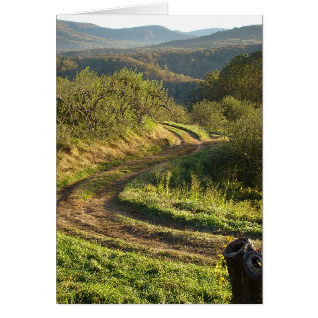 Apple Orchard, North Carolina (Voorkant)