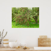 Apple Orchard Poster (Keuken)