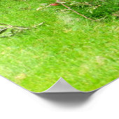 Apple Orchard Poster (Hoek)