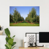 Apple Orchard Poster (Thuiskantoor)