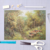Apple Orchard Tissuepapier (Craft)