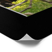 "Apple Orchard - Watsonville" Poster (Hoek)