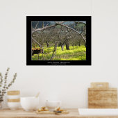"Apple Orchard - Watsonville" Poster (Keuken)