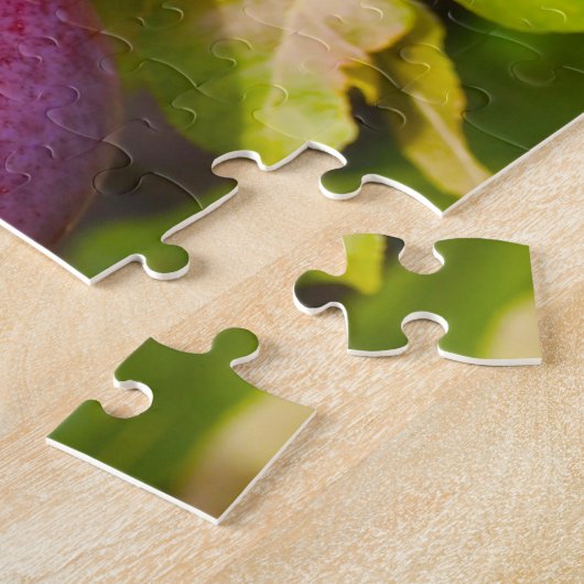 Apple Orchards Vermont. Legpuzzel (Zijkant)