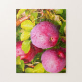 Apple Orchards Vermont. Legpuzzel (Verticaal)