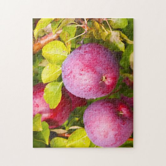 Apple Orchards Vermont. Legpuzzel (Verticaal)