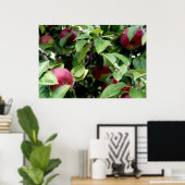 Apple Picking Poster (Thuiskantoor)