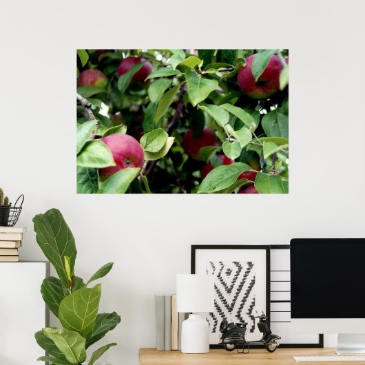 Apple Picking Poster (Thuiskantoor)