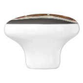 Apple Pie and Vanilla Ice Cream at Diner Keramische Knop (Zijkant)