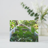 Apple-plukken in New England Briefkaart (Staand voorkant)