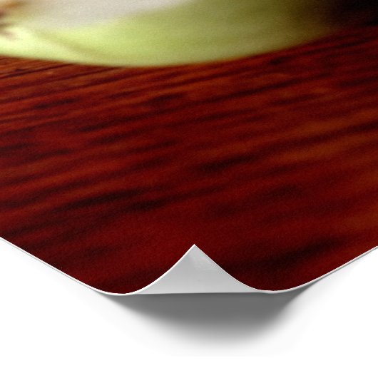Apple Poster (Hoek)