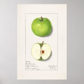 Apple Poster (Voorkant)