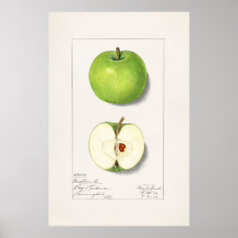 Apple Poster