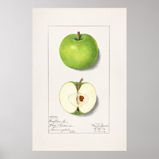 Apple Poster (Voorkant)