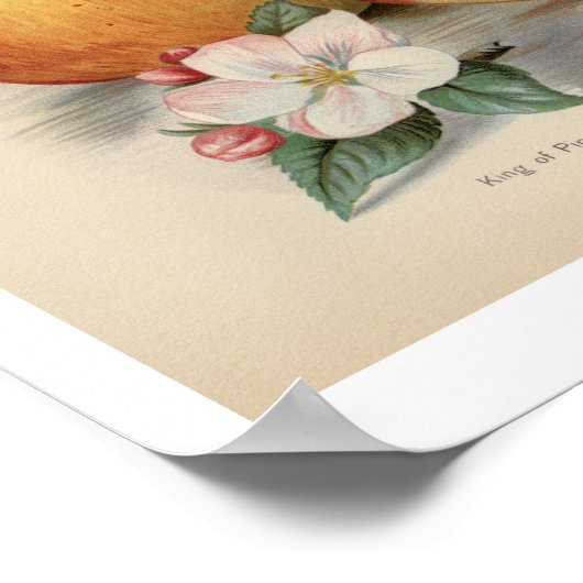 Apple - Poster voor fruit (Hoek)