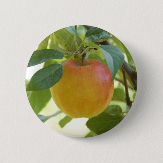 Apple Prima Ronde Button 5,7 Cm (Voorkant)
