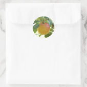 Apple Prima stickers (Tas)