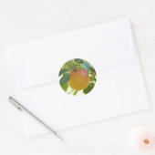 Apple Prima stickers (Envelop)