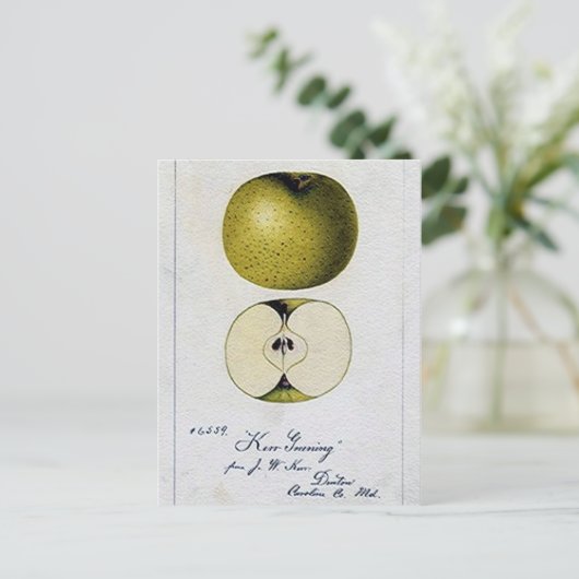  Apple Recipe Card Briefkaart (Staand voorkant)